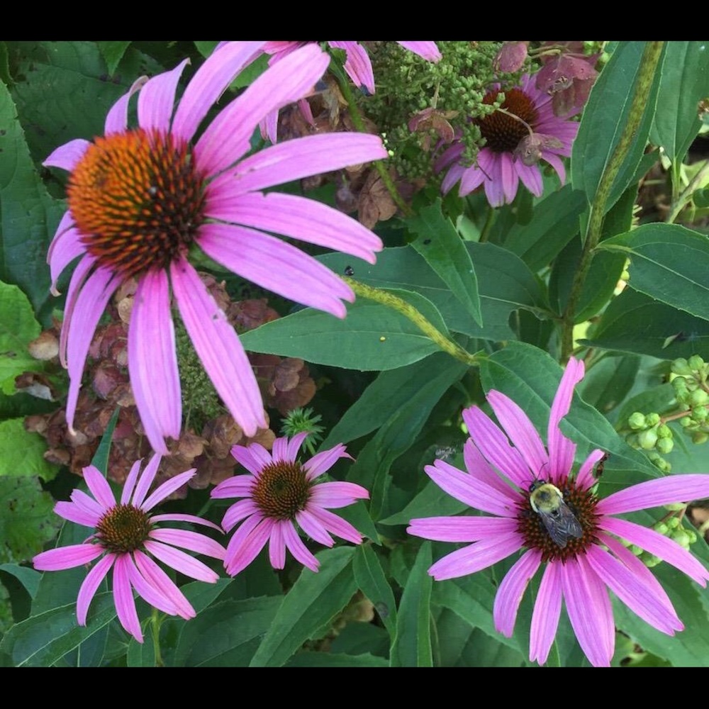 Meet your Posher, Cathy